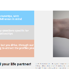 Lovelifepartners.com website